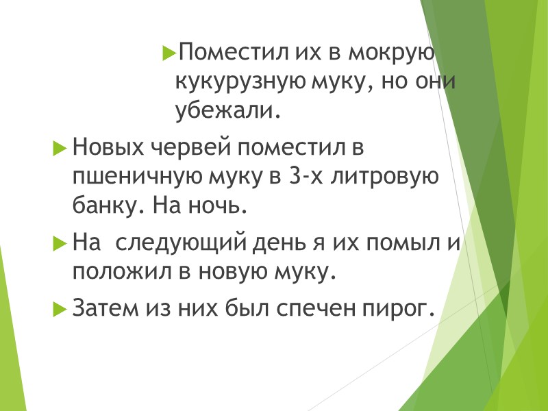 Поместил их в мокрую кукурузную муку, но они убежали. Новых червей поместил в пшеничную